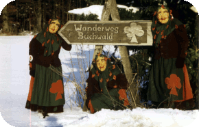 SchildBuchwald rund 290