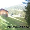 Hütte 2016
