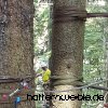 Ausflug 2019