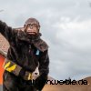 Umzug 2023